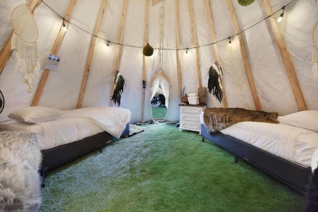 Enchanted Forest Cabin And Teepee! Lights & Laser Show! Private Hot Tub! Unique Stay! Sevierville Eksteriør bilde